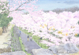 夕暮れの桜　水彩画