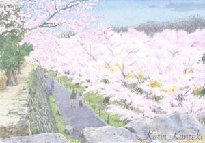 夕暮れの桜　水彩画