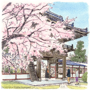 桜　風景　イラスト