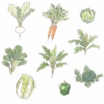 園芸　イラスト